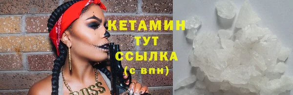 ПСИЛОЦИБИНОВЫЕ ГРИБЫ Горно-Алтайск