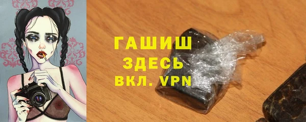 ПСИЛОЦИБИНОВЫЕ ГРИБЫ Горно-Алтайск