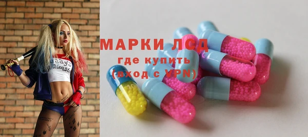 ПСИЛОЦИБИНОВЫЕ ГРИБЫ Горно-Алтайск