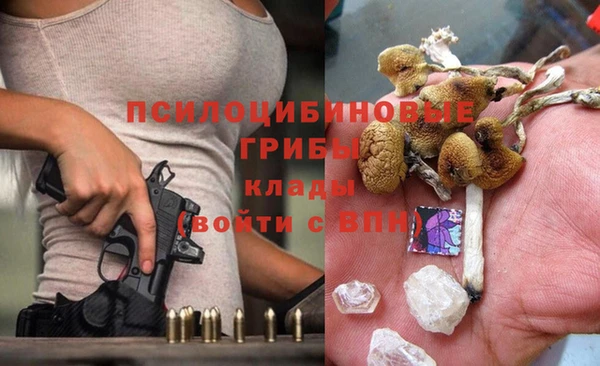 эйфоретик Горнозаводск