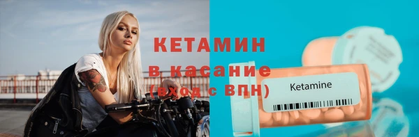 ПСИЛОЦИБИНОВЫЕ ГРИБЫ Горно-Алтайск