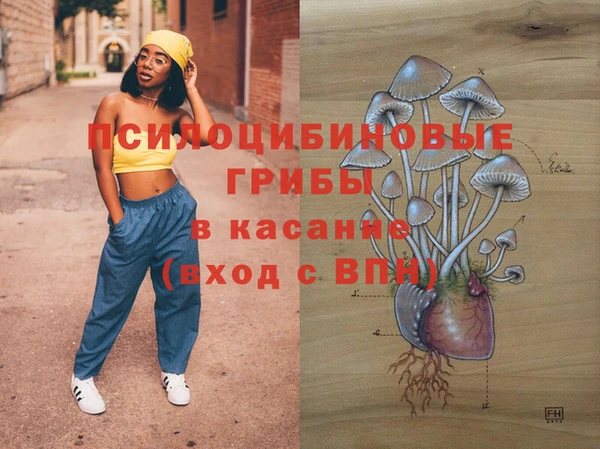 эйфоретик Горнозаводск