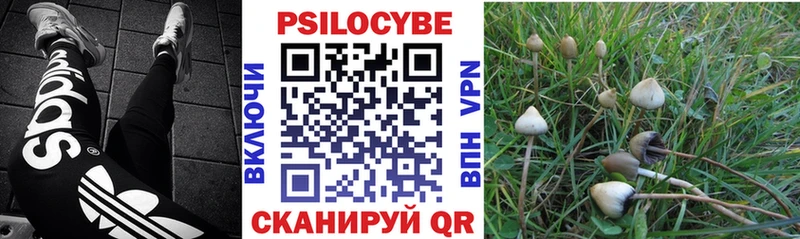 Псилоцибиновые грибы Magic Shrooms  кракен как зайти  Находка 
